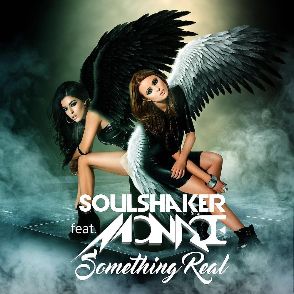 Soulshaker feat. Monroe, Something Real, artwork