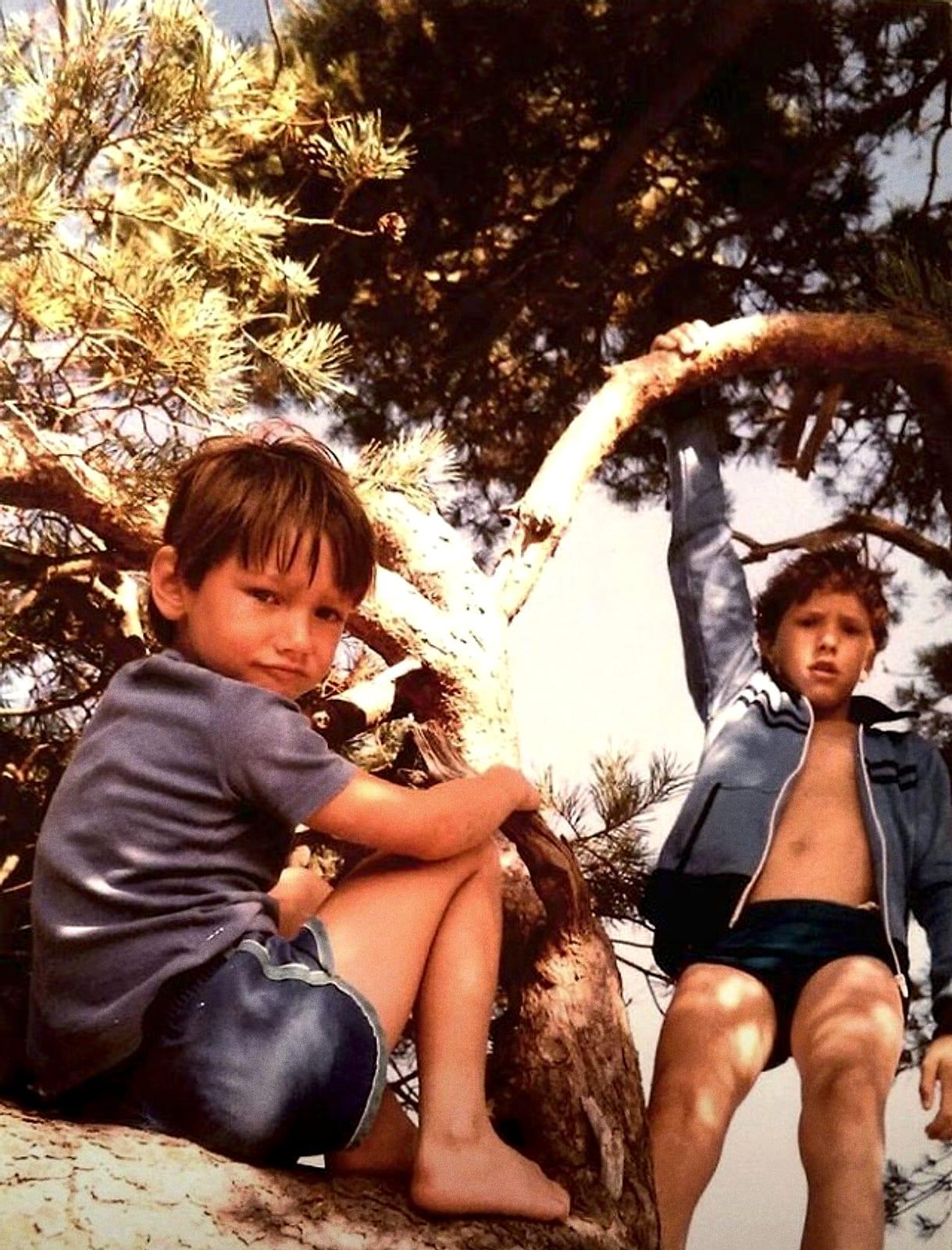 Two young brothers sitting in a tree